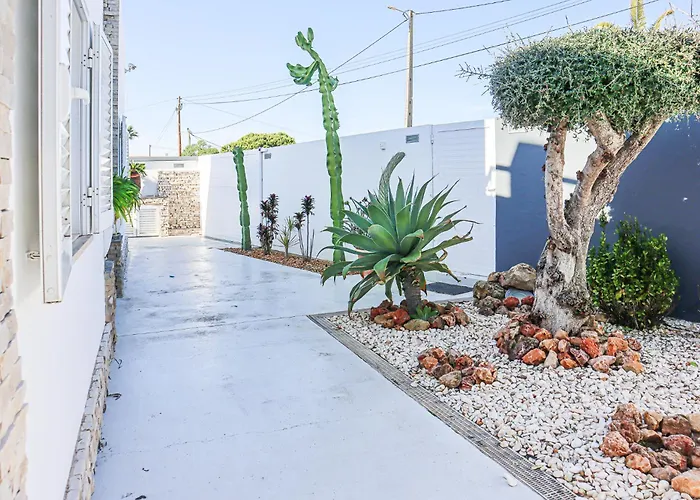 Stefy By Bedzy Galé